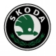 images/categorieimages/skoda.jpg